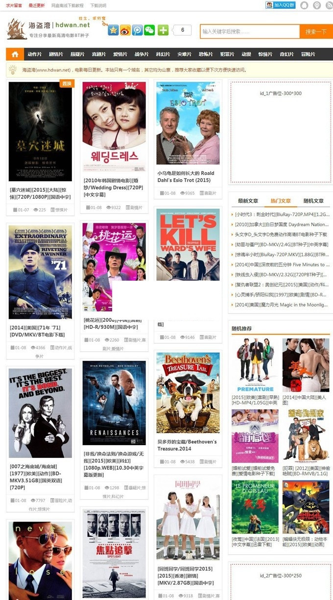 帝国CMS电影BT源码下载站:修复版,含磁力链接与迅雷播放(图1)